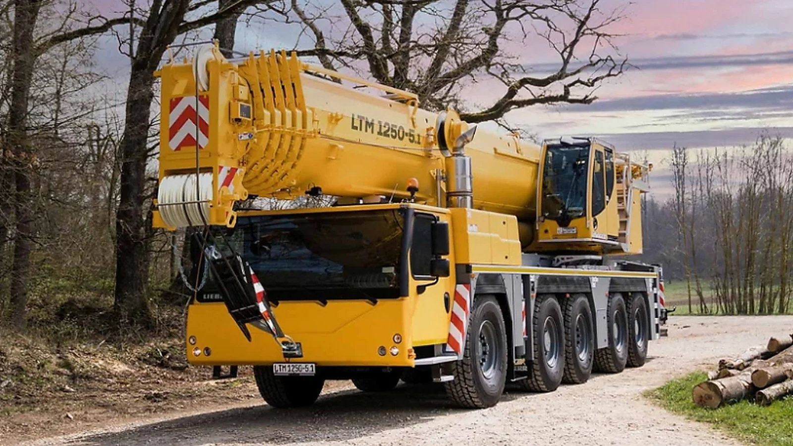 Guindaste Liebherr de grande capacidade da frota Cunzolo